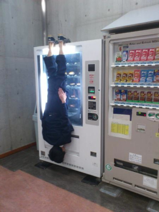 Illustration for article titled Some of Japan's Cutest and Most Amusing Twitter Pics